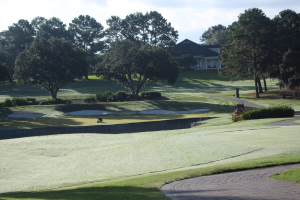 2015 Amateur Championship 018.JPG